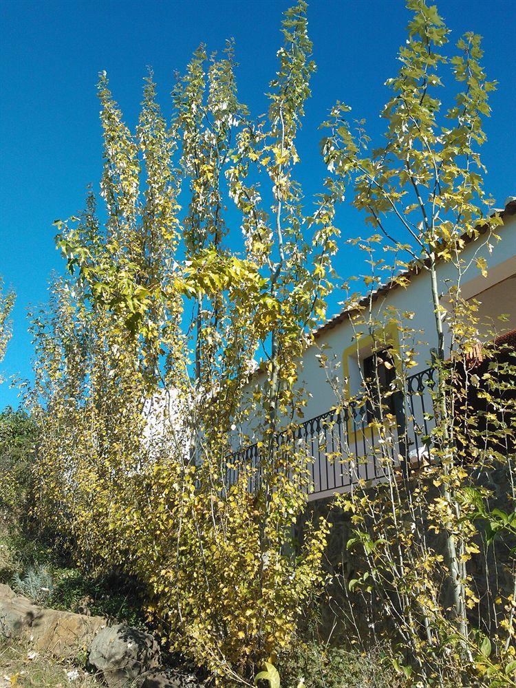 Affittacamere Casas Do Palheiro Velho Castro Marim Esterno foto